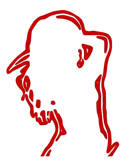 Logo de Coobongo Spa